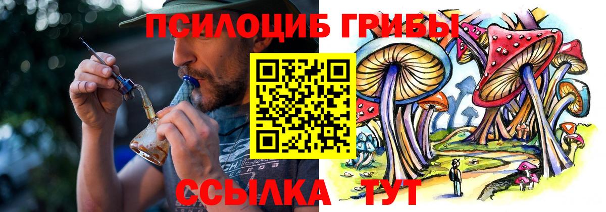 Туапсе  Галлюциногенные грибы прущие грибы  Галлюциногенные грибы Psilocybe  Вход с VPN 